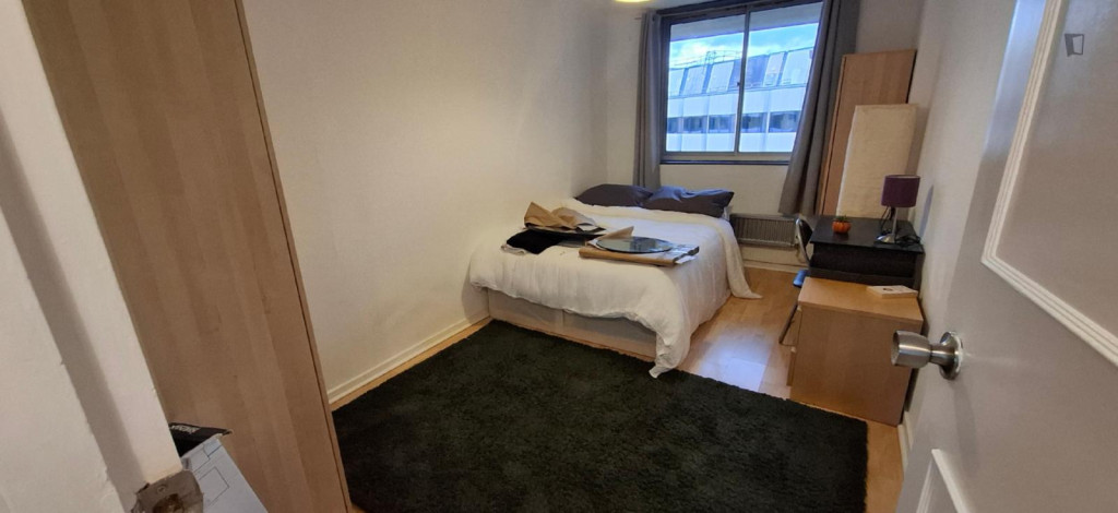 Lovely Double Bedroom close to Farringdon Metro - London - chambre - ImmoJeune