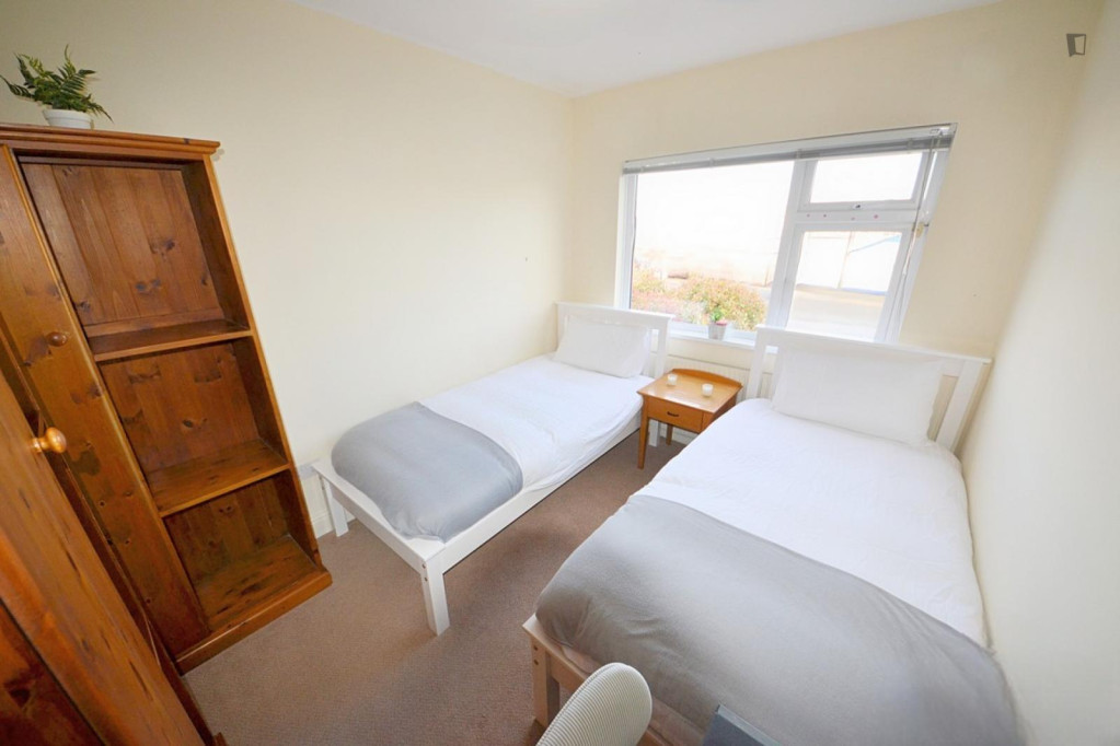 Single bed in charming twin ensuite male bedroom - Dublin - chambre - ImmoJeune