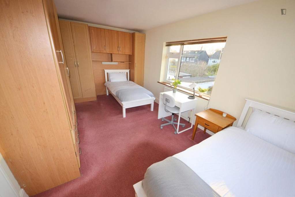 Single bed in charming twin ensuite female bedroom - Dublin - chambre - ImmoJeune