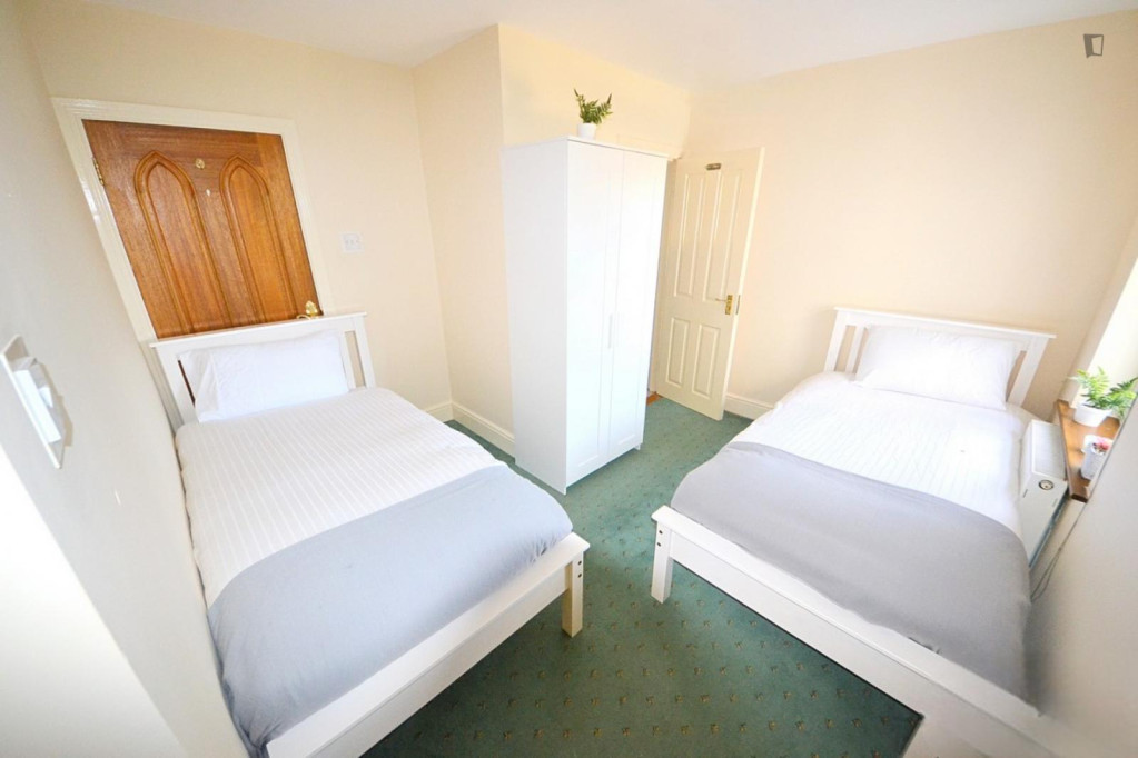 Single bed in charming twin ensuite female bedroom - Dublin - chambre - ImmoJeune