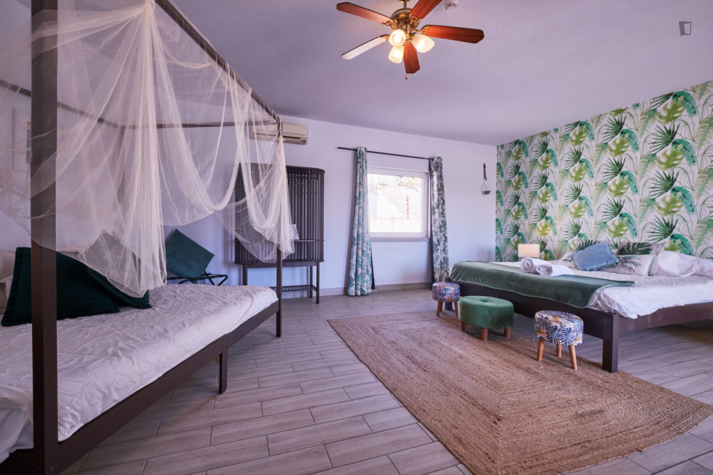 Beautiful private room with bathroom in Santa Comba Dão - Viseu - chambre - ImmoJeune
