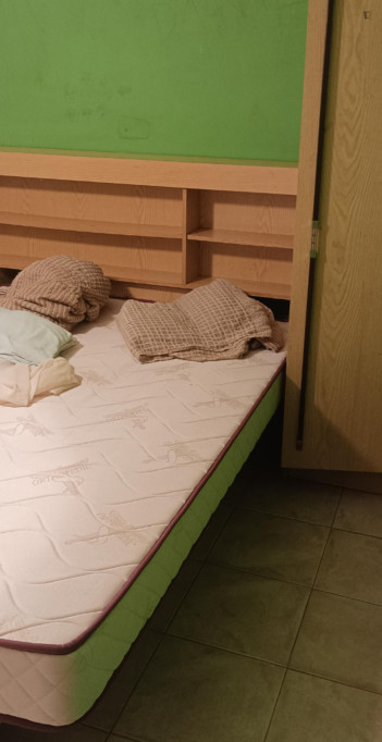 Lovely house in Ceira, Coimbra - Coimbra - chambre - ImmoJeune