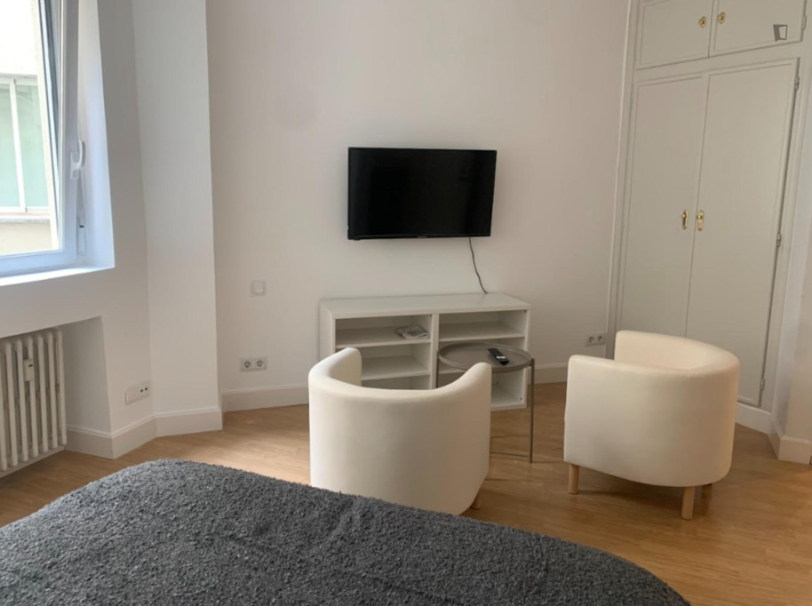Neat little studio in El Viso neighbourhood - Madrid - chambre - ImmoJeune