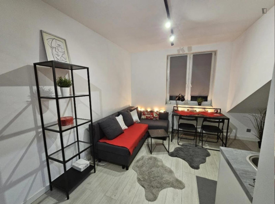 Comfy studio in Dębniki - Krakow - chambre - ImmoJeune