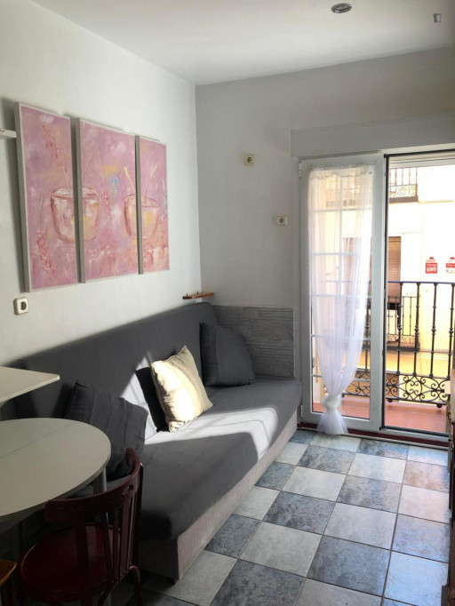 Cosy 1 bedroom apartment near Antón Martín metro - Madrid - chambre - ImmoJeune