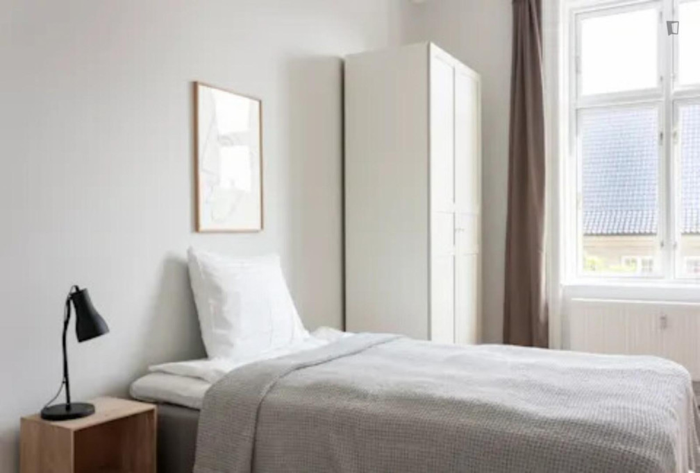 Interesting double bedroom near the Vesterport train station - Copenhagen - chambre - ImmoJeune