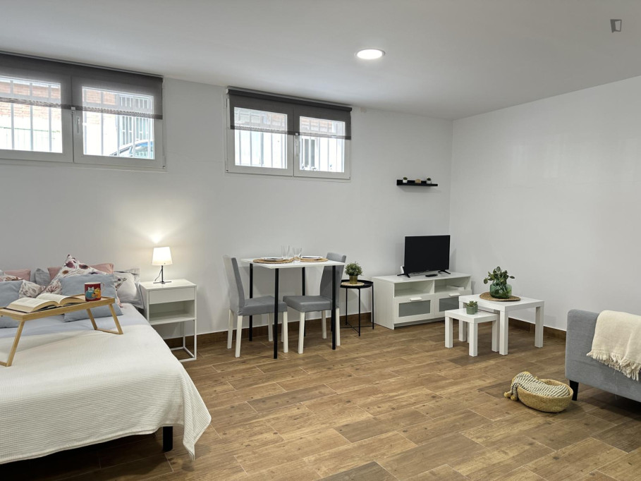 Large and cosy studio in San Isidro - Madrid - chambre - ImmoJeune
