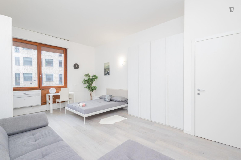 Spacious double bedroom in central Milan - Milan - chambre - ImmoJeune