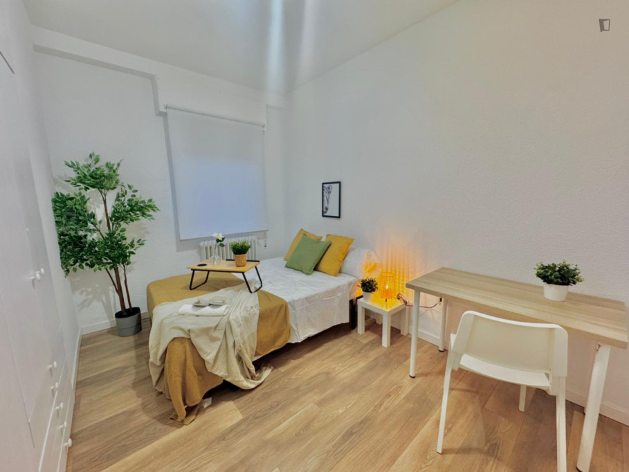 Inviting double bedroom in Toledo - Toledo - chambre - ImmoJeune