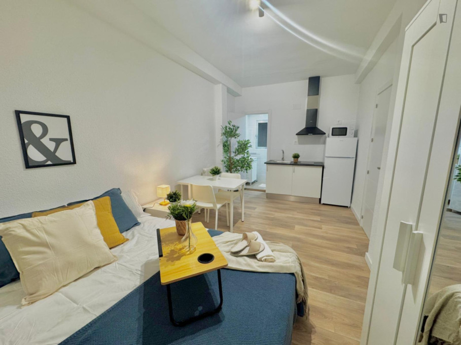 Very neat ensuite double bedroom with private Kitchen in Toledo - Toledo - chambre - ImmoJeune