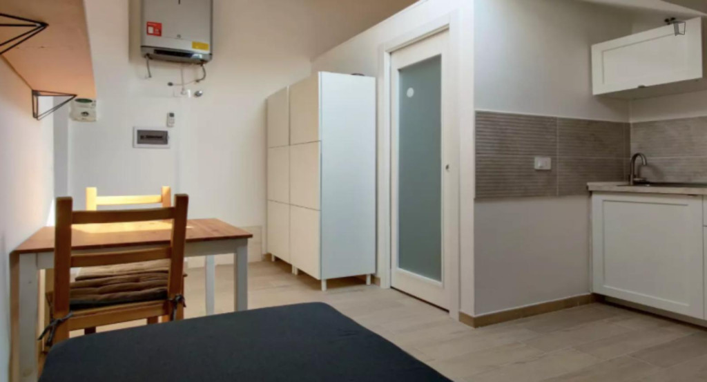 Cozy and modern studio well connected to the city center and the universities - Milan - chambre - ImmoJeune