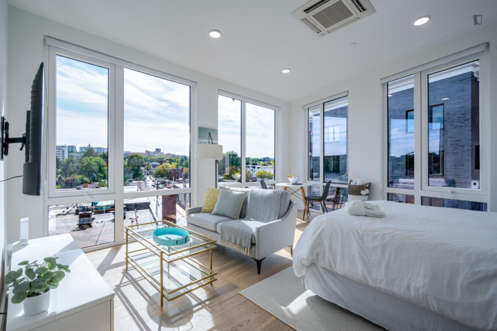 HIC38401 Delightful and bright studio in Brighton - Boston - chambre - ImmoJeune