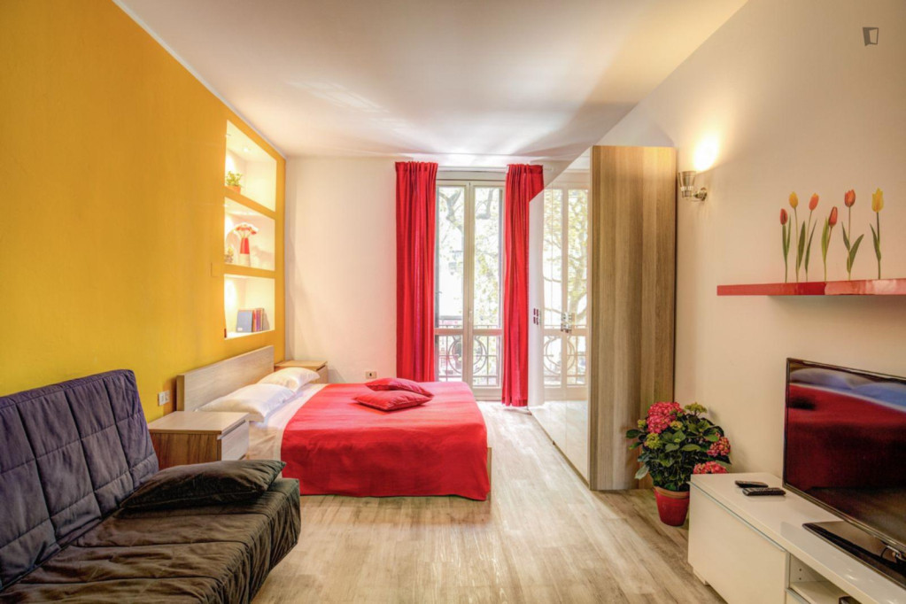 Beautiful Splendid one-bedroom apartment ideal for students and workers in Sempione M5 area - Milan - chambre - ImmoJeune