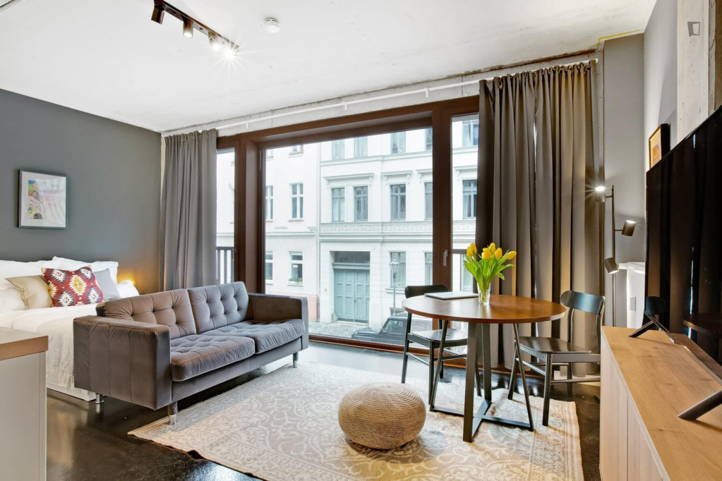 Appealing studio in Scheunenviertel - Berlin - chambre - ImmoJeune