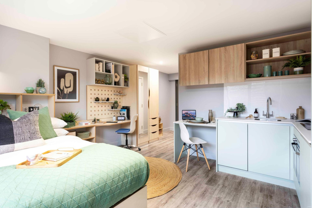 Aster House - Belfast - chambre - ImmoJeune