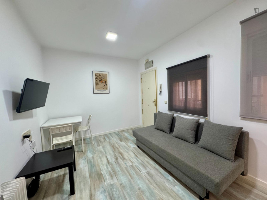 Very homely 1-bedroom apartment in Rios Rosas - Madrid - chambre - ImmoJeune