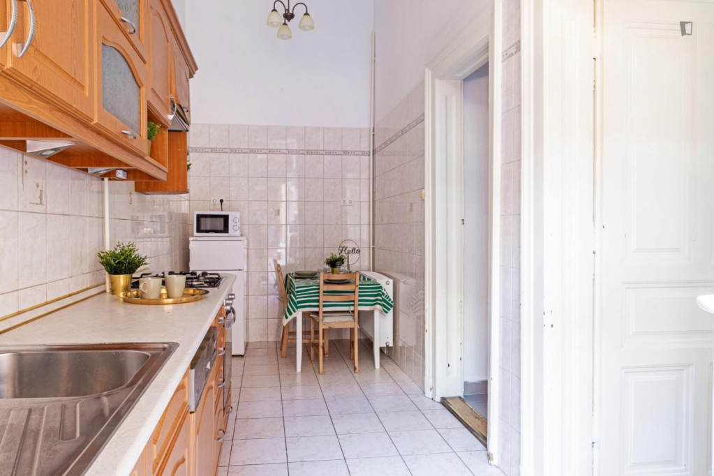 Very nice 1 bedroom apartment near Rákóczi tér metro - Budapest - chambre - ImmoJeune