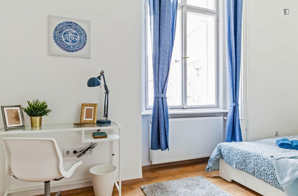 Very pleasant double bedroom near Blaha Lujza tér metro - Budapest - chambre - ImmoJeune