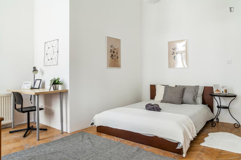 Welcoming double bedroom near Budapest-Nyugati station - Budapest - chambre - ImmoJeune