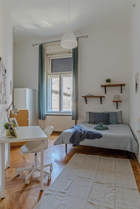 Inviting double bedroom near Oktogon metro - Budapest - chambre - ImmoJeune