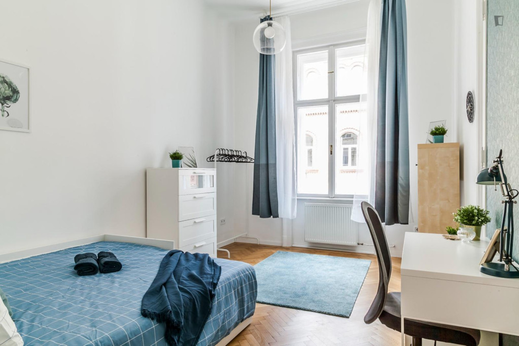 Lovely double bedroom with private bathroom near Budapest-Keleti station - Budapest - chambre - ImmoJeune
