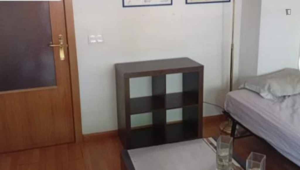Double Bedroom in 4 bedroom apartment - Madrid - chambre - ImmoJeune
