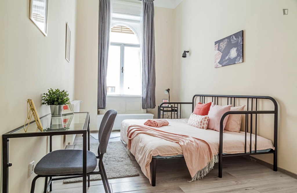 Lovely double bedroom near Corvin-negyed metro - Budapest - chambre - ImmoJeune