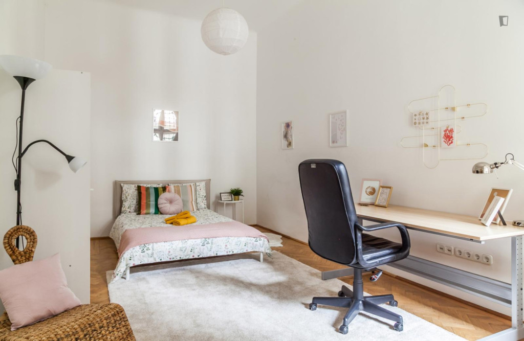 Spacious double bedroom in Terézváros - Budapest - chambre - ImmoJeune