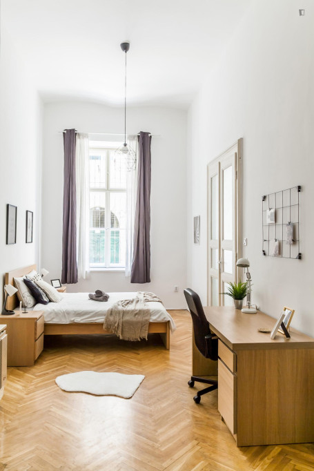 Welcoming double bedroom near Opera metro - Budapest - chambre - ImmoJeune