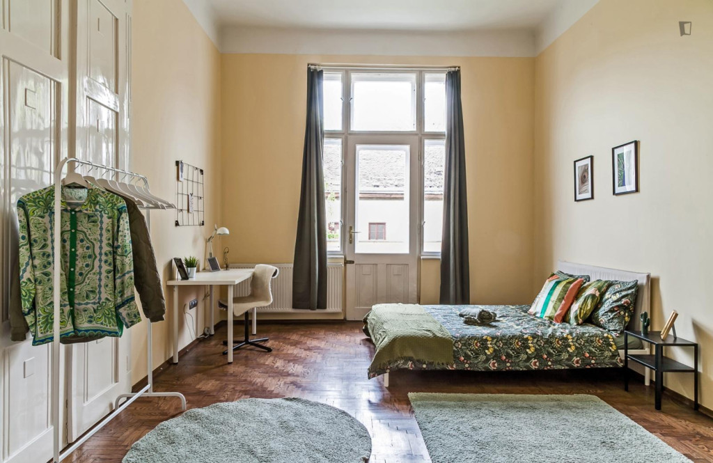 Large double bedroom in Belső-Ferencváros - Budapest - chambre - ImmoJeune