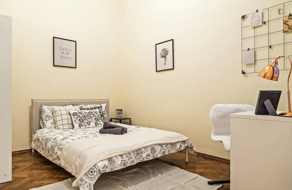 Nice double ensuite bedroom in Belső-Ferencváros - Budapest - chambre - ImmoJeune