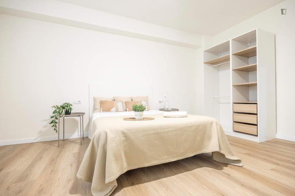 Attractive double bedroom in Mont-Olivet - Valence - chambre - ImmoJeune