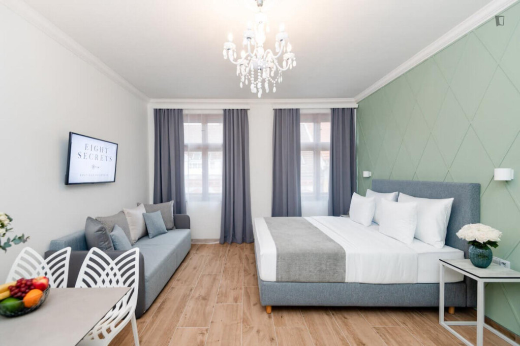 Very comfy studio in the Vinohrady district - Prague - chambre - ImmoJeune