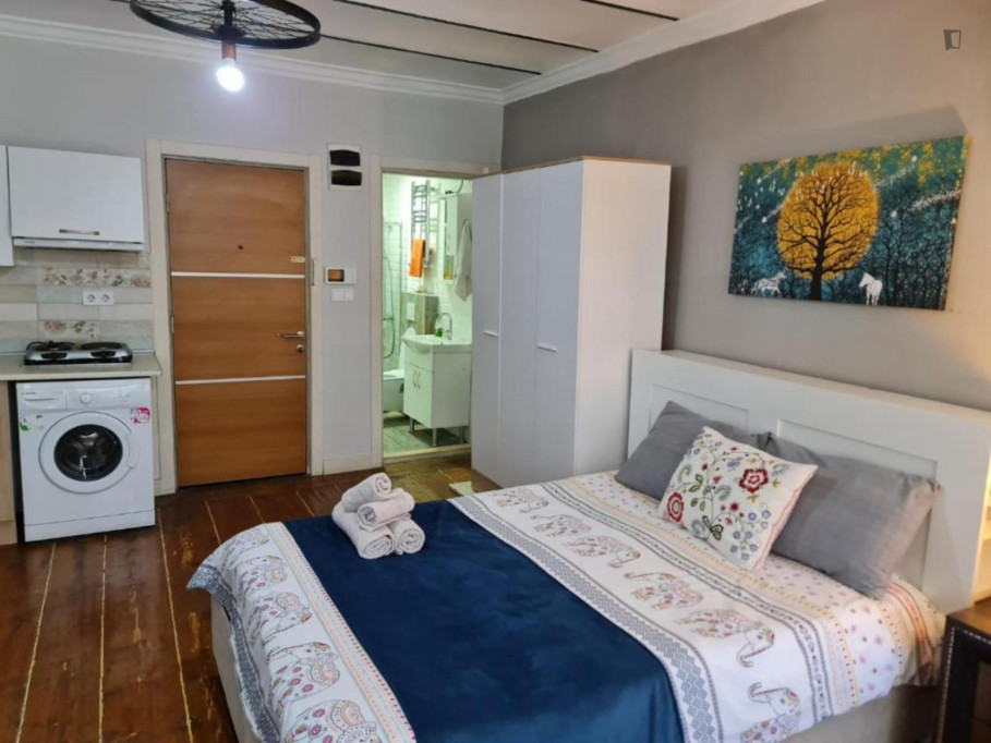 Cozy Spacious Studio in Historic Building Near Istiklal - Istanbul - chambre - ImmoJeune