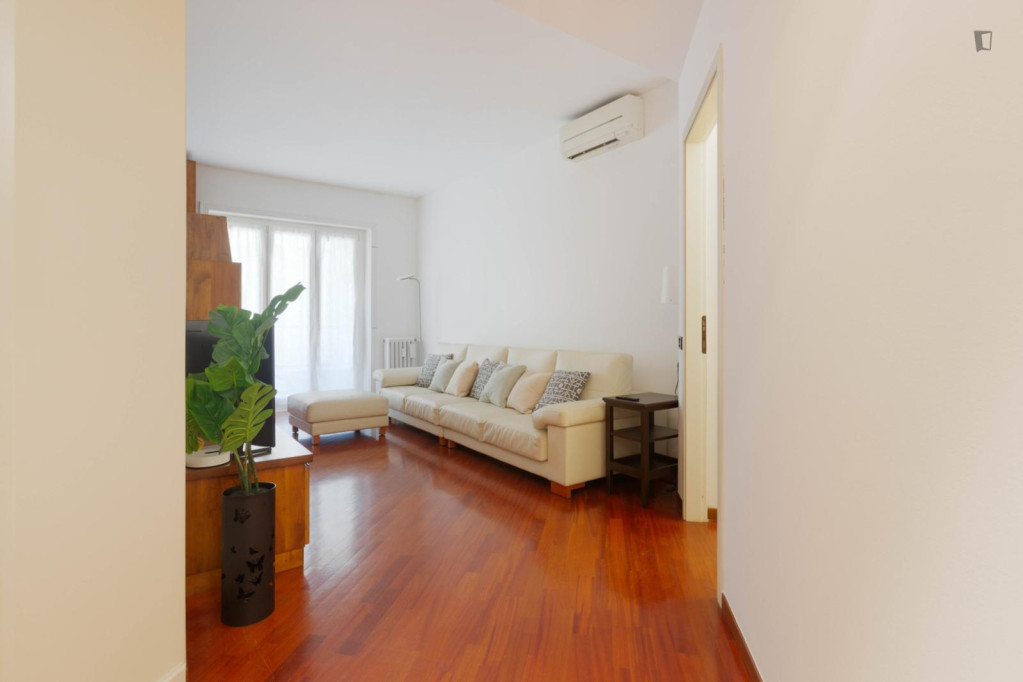 Lovely 2-bedroom apartment in the Washington neghbourhood - Milan - chambre - ImmoJeune