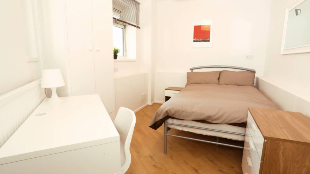 Pleasant double bedroom near the Bromley-by-Bow tube - London - chambre - ImmoJeune