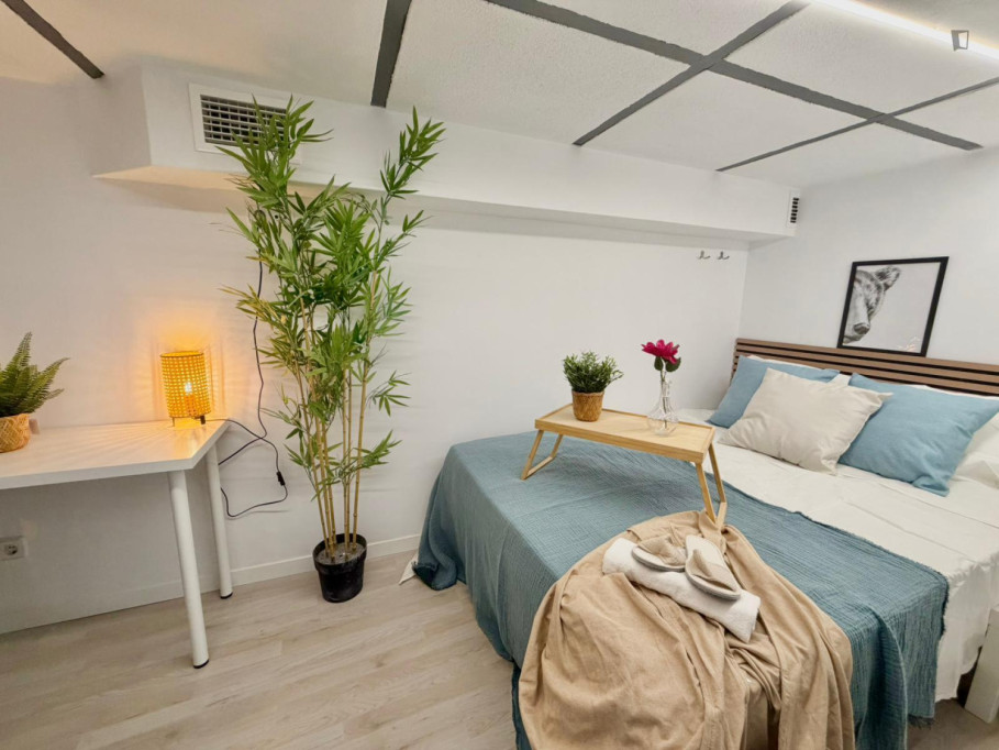 Neat double bedroom near Chueca metro - Madrid - chambre - ImmoJeune