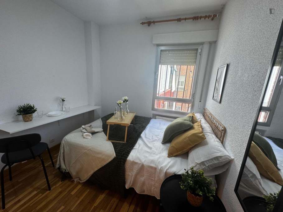 Homely double bedroom near the Torre Arias metro - Madrid - chambre - ImmoJeune