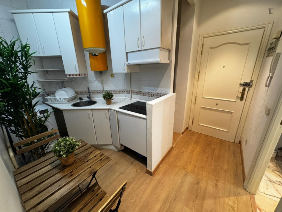 Inviting 4-bedroom apartment in the Sol area - Madrid - chambre - ImmoJeune