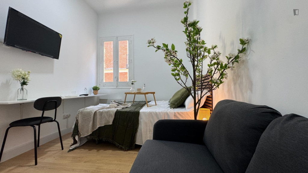 Very cosy double bedroom in Lavapiés - Madrid - chambre - ImmoJeune