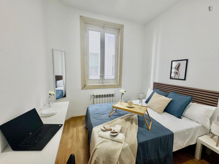 Inviting double bedroom in Trafalgar - Madrid - chambre - ImmoJeune
