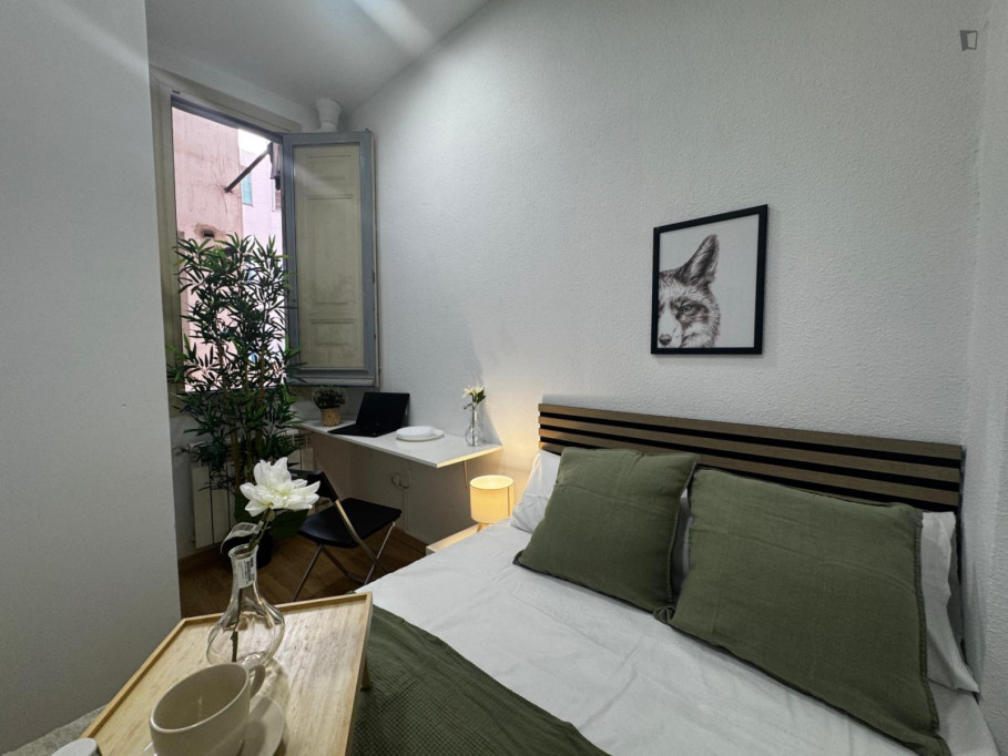 Very nice double bedroom in central Trafalgar - Madrid - chambre - ImmoJeune