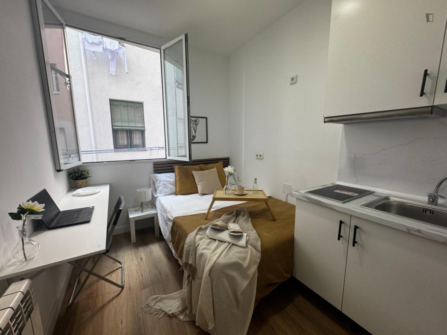 Cosy bedroom with private bathroom and private kitchen in a shared flat - Madrid - chambre - ImmoJeune