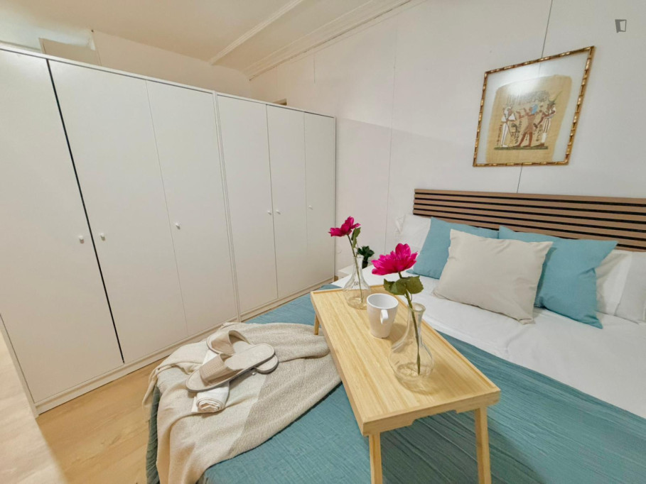 Large Great looking Studio bedroom with Kitchen and Bathroom - Toledo - chambre - ImmoJeune