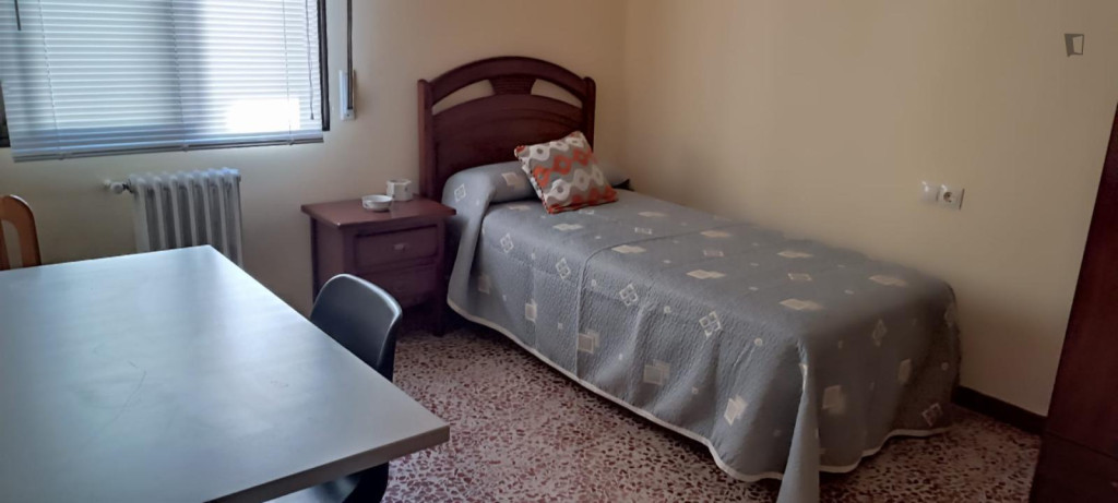 Comfortable single bedroom in fully furnshed apartment in central Salamanca - Salamanca - chambre - ImmoJeune