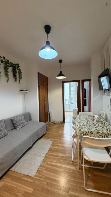 Cozy 2-bedroom apartment in central Madrid - Madrid - chambre - ImmoJeune