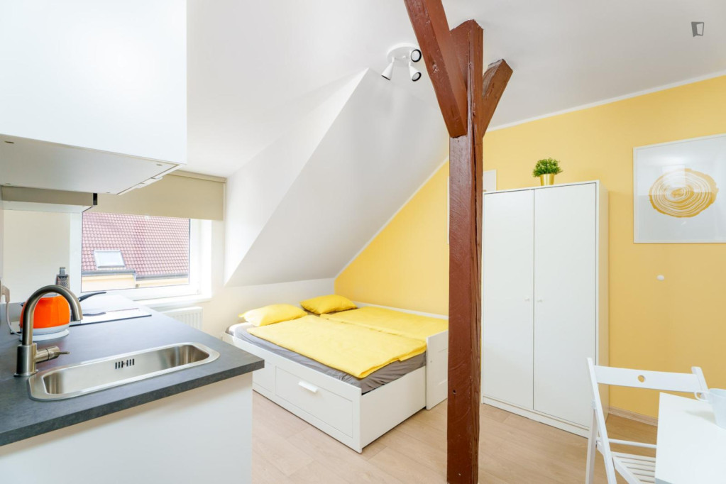 Cosy and neat studio in the Krč neighbouhoood - Prague - chambre - ImmoJeune
