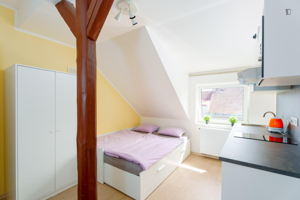 Very nice studio near the Prague-Kačerov train station - Prague - chambre - ImmoJeune