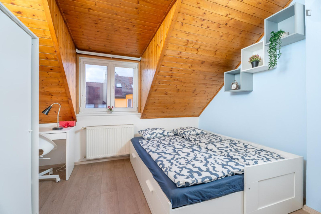 Bright and cosy studio near the Kačerov metro - Prague - chambre - ImmoJeune