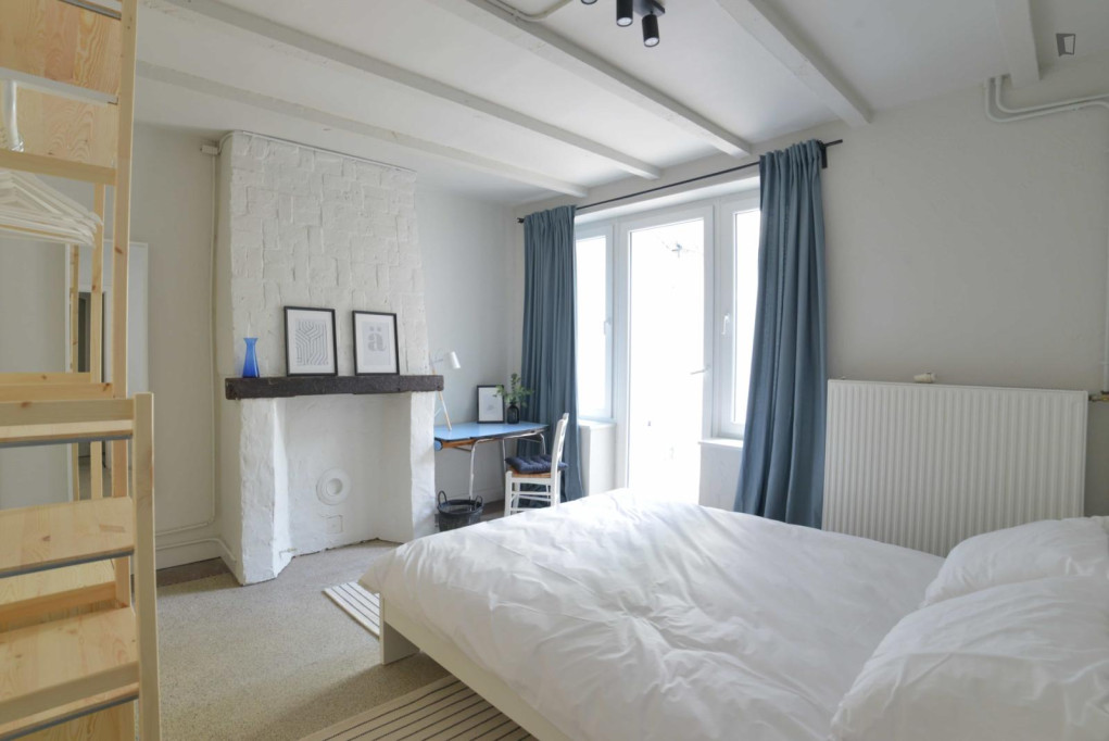 Welcoming double ensuite bedroom in Etterbeek - Bruxelles - chambre - ImmoJeune